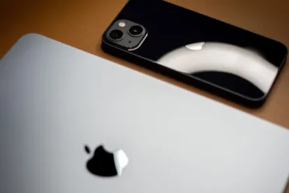 카지노 딩키 빙고 모바일 앱